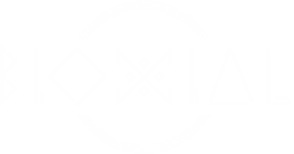 Bioxial partner logo