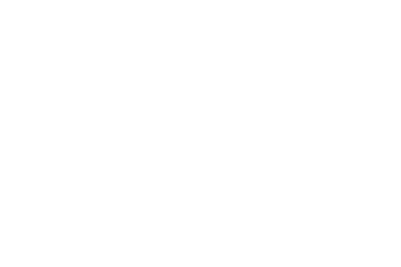 Disco Bandits partner logo
