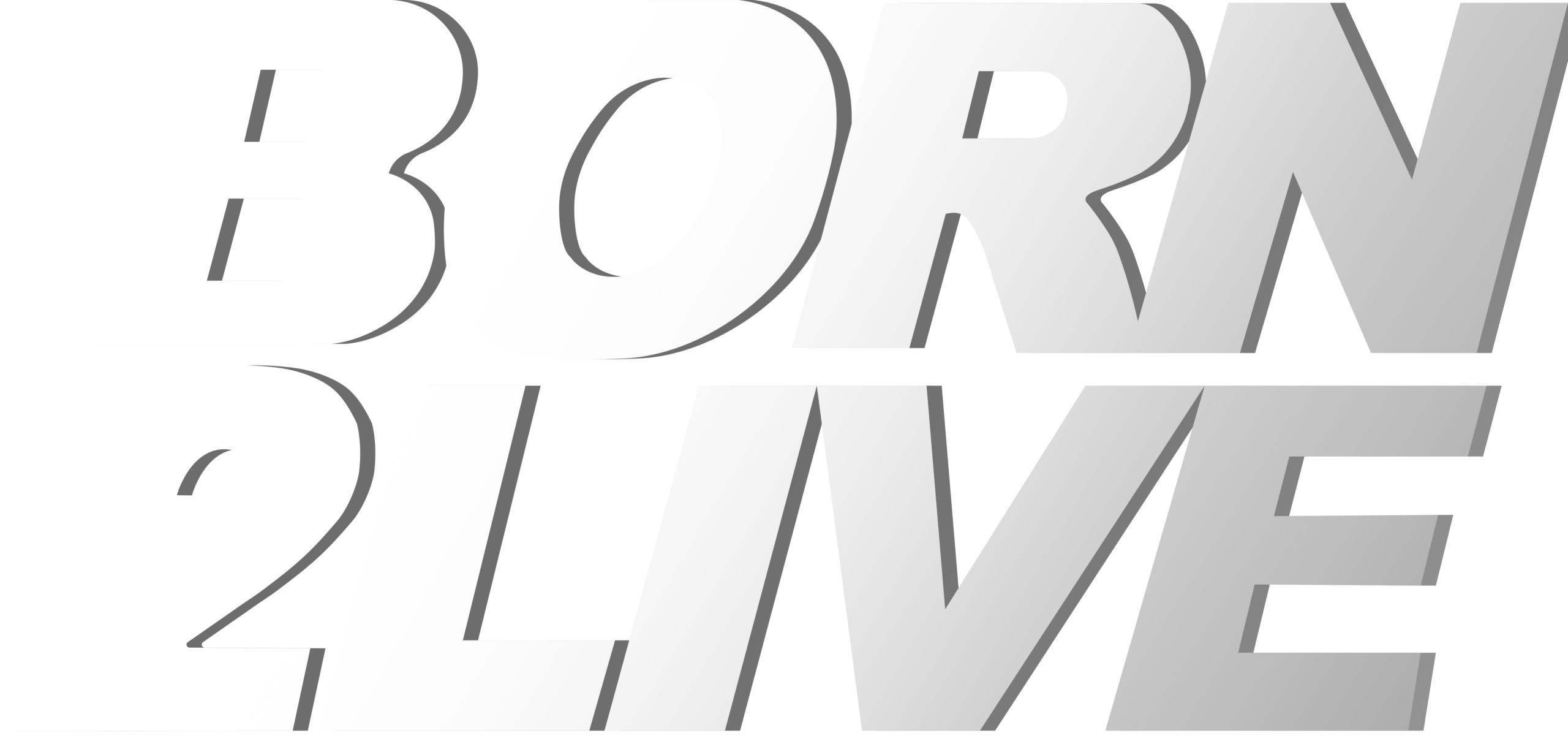 Born2Live partner logo