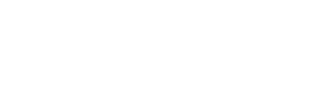 Biilyon Vodka partner logo